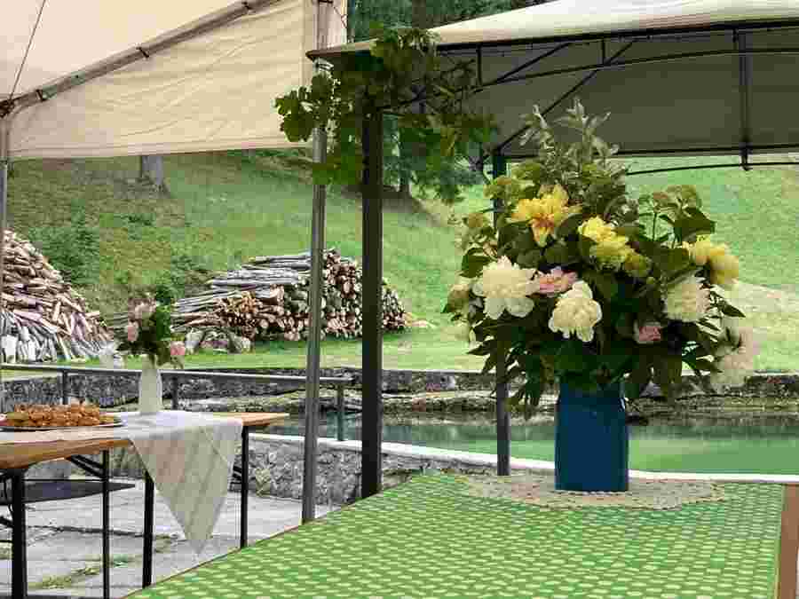 Article photo